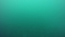 Riva Trigoso Ovest (RIV15R2)