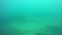 [Coord Barca] PORT15R2 (Prelo Rapallo) A