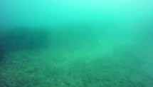 [Coord Barca] PORT15R2 (Prelo Rapallo) B