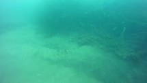 [coord ROV] PORT15R2 (Prelo Rapallo) E