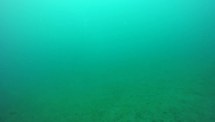 [no coordinate] LAIG15R2 (Laigueglia)